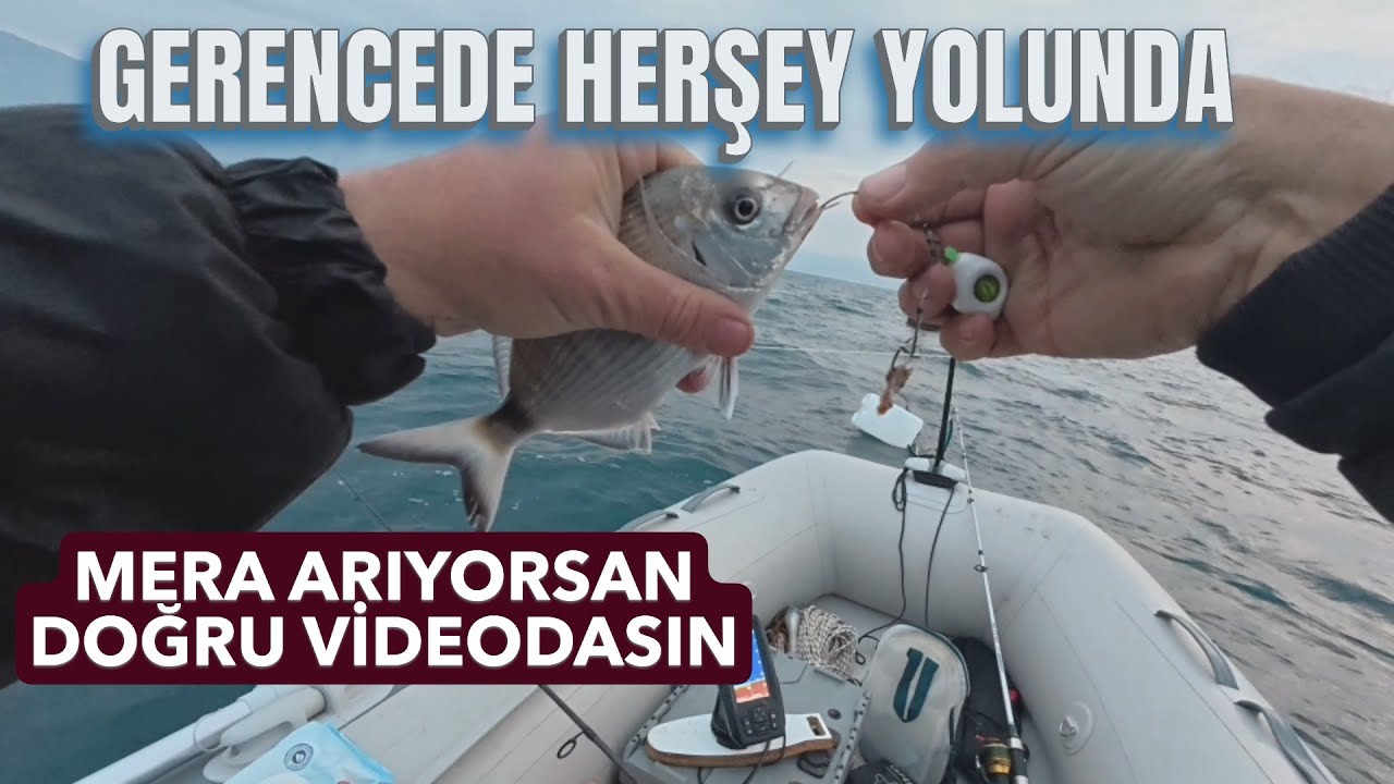ÇEŞME GERENCE KÖRFEZİNDE BOL MERCAN. MERA ARIYANLAR BU VİDEOYU İZLESİN