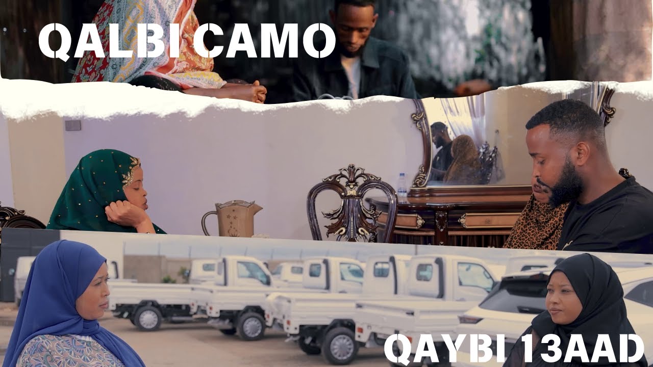 FILM KA QALBI CAMO Q 13AAD