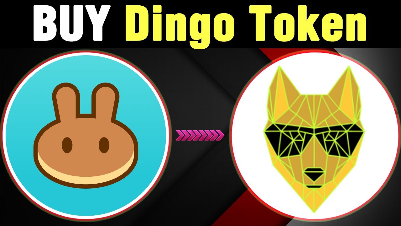 How to Buy Dingo Token Coin on Trustwallet (Pancakeswap)