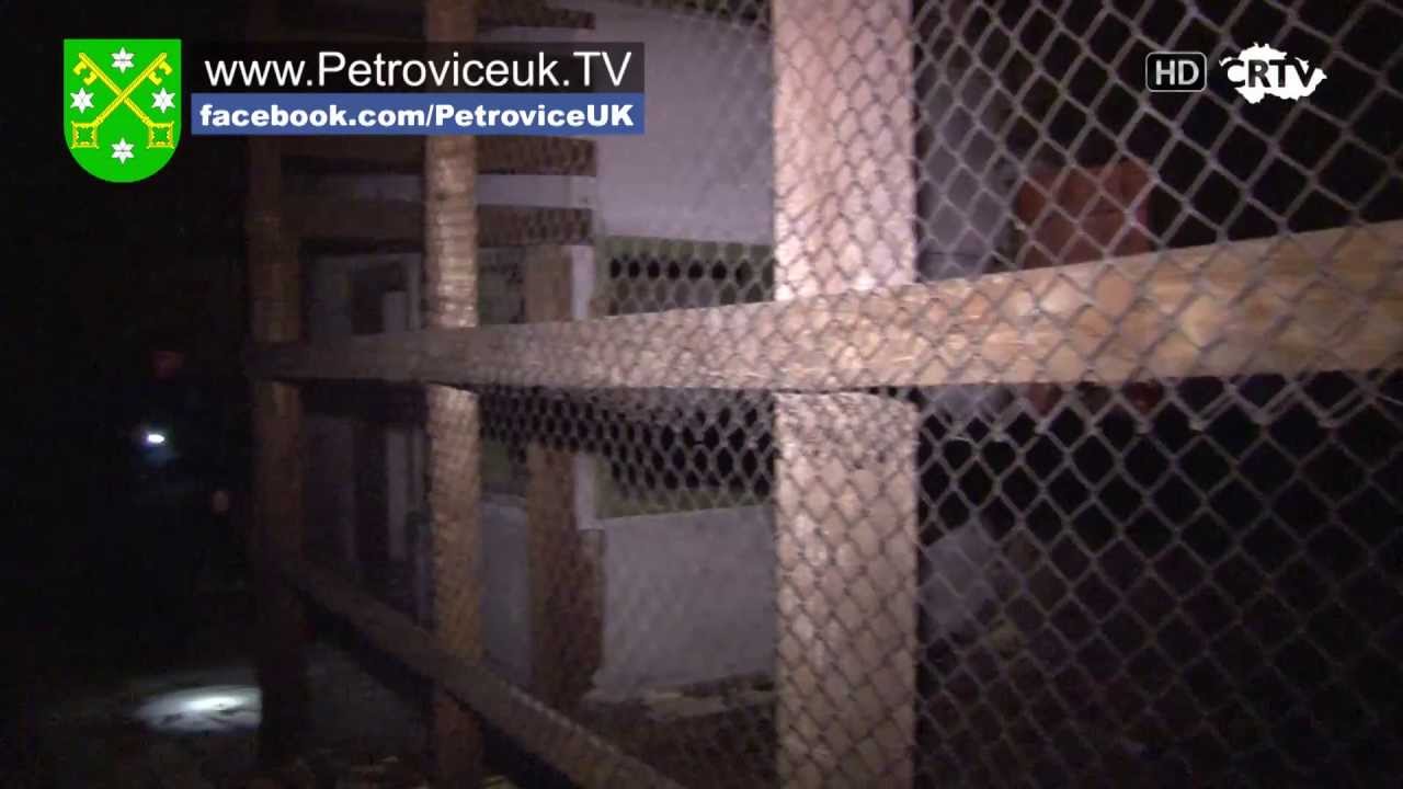 Policejní akce Petrovice u Karviné www.TelevizeKarvinsko.cz
