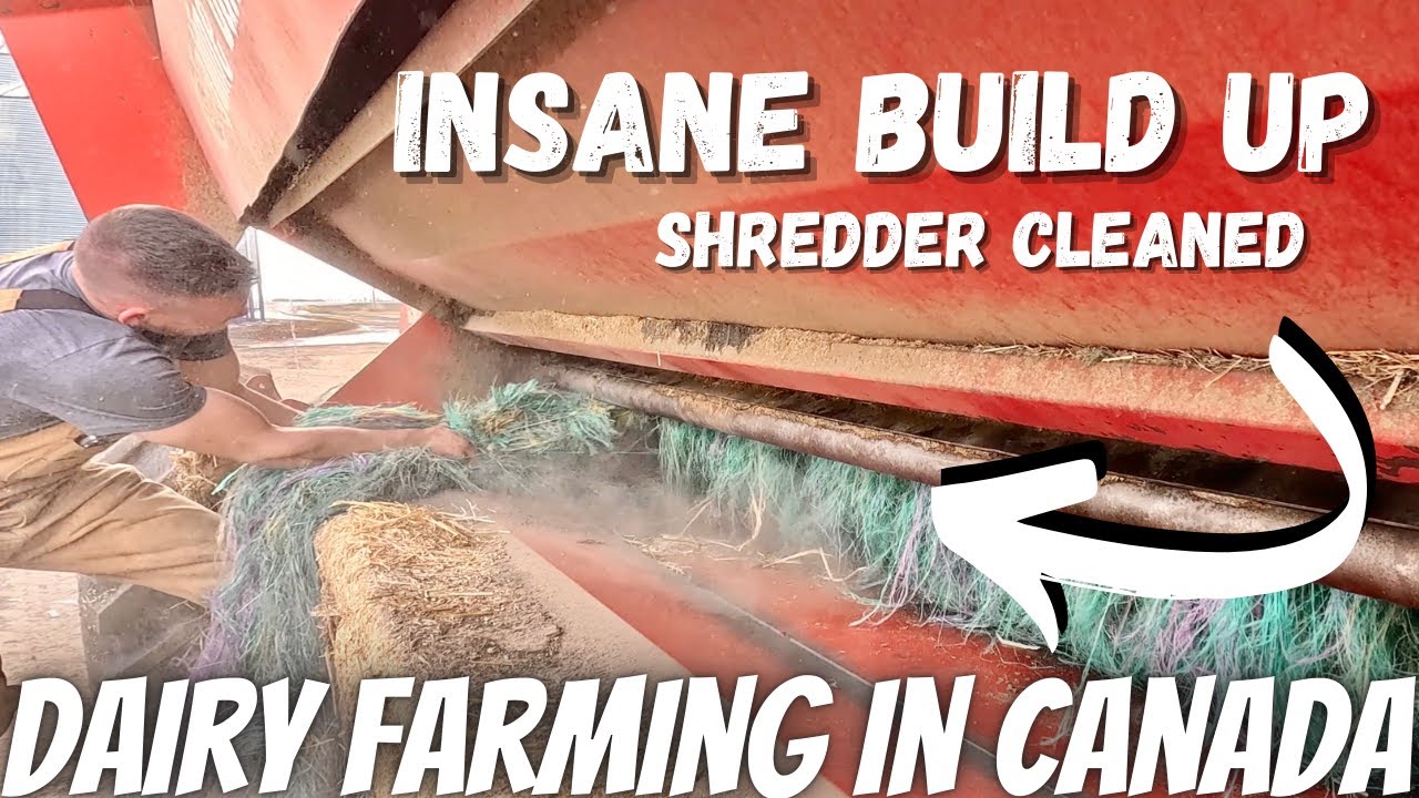 New Land and Bale Shredder Clean Up!