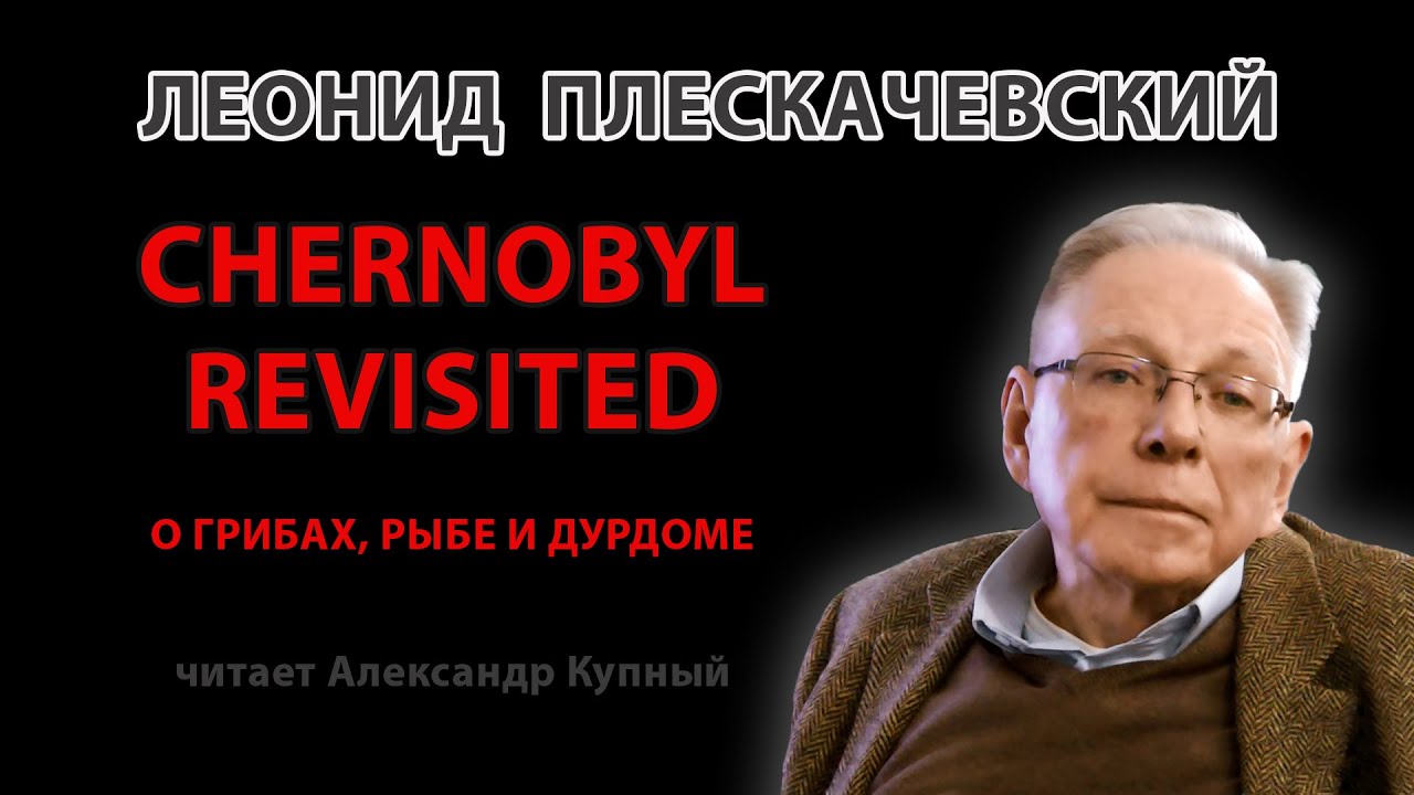 CHERNOBYL REVISITED, о грибах, рыбе и дурдоме