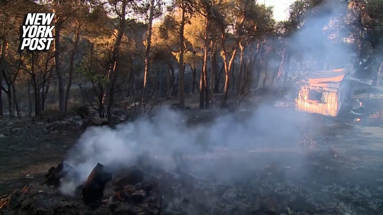 Hundreds of firefighters battle Athens wildfire fueled by gale-force winds
