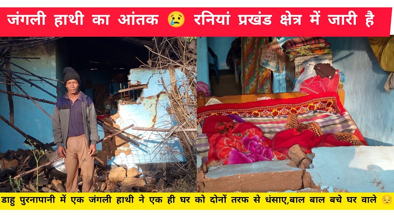 रनियां:पुरनापानी गांव में विकास सिंह के घर को दोनों तरफ से जंगली हाथी ने धंसाया, घर वाले बचें 😢