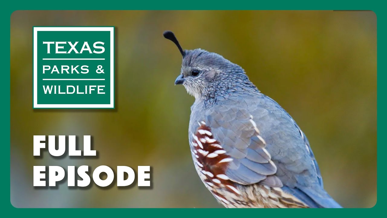PBS Show - Franklin Mountains State Park & More
