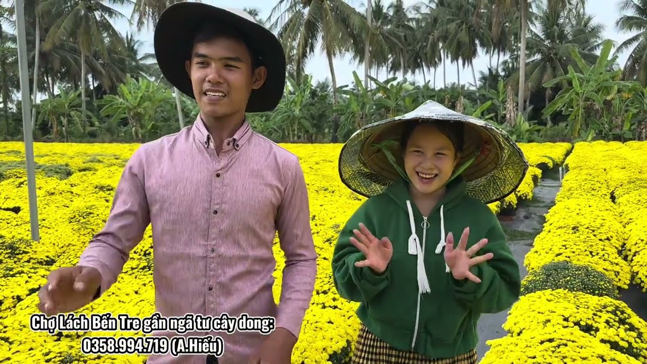 Giải cứu 2 vợ chồng khởi nghiệp trồng 10.000 chậu cúc mâm xôi mất trắng nở rộ trước Tết 2026