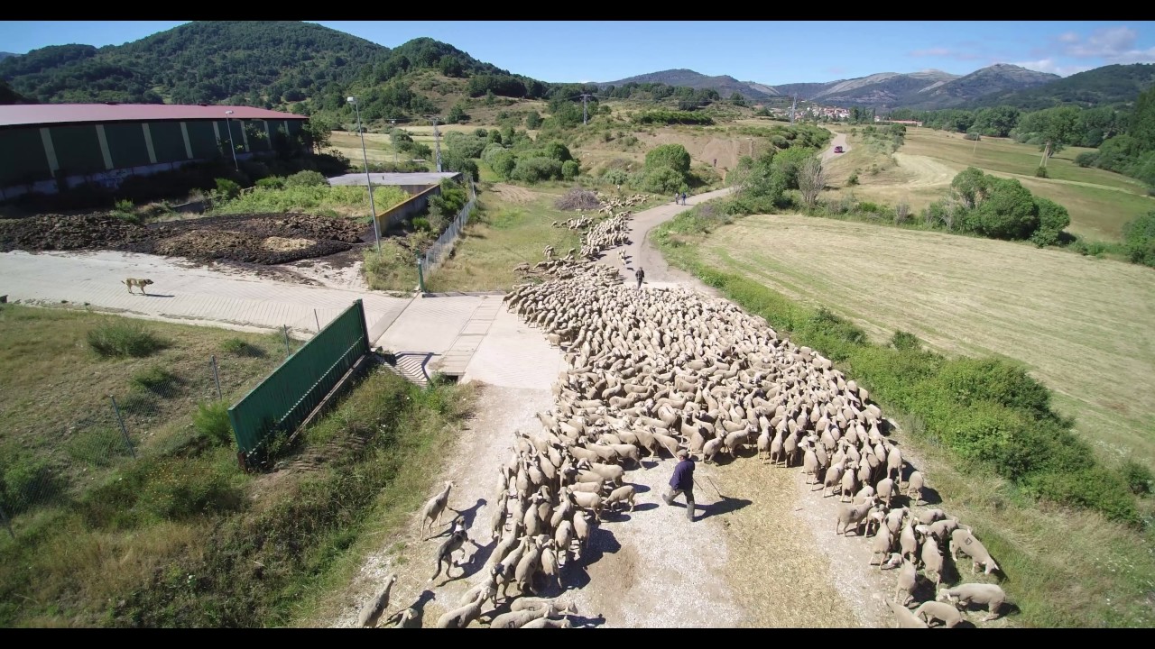 PRIORO 