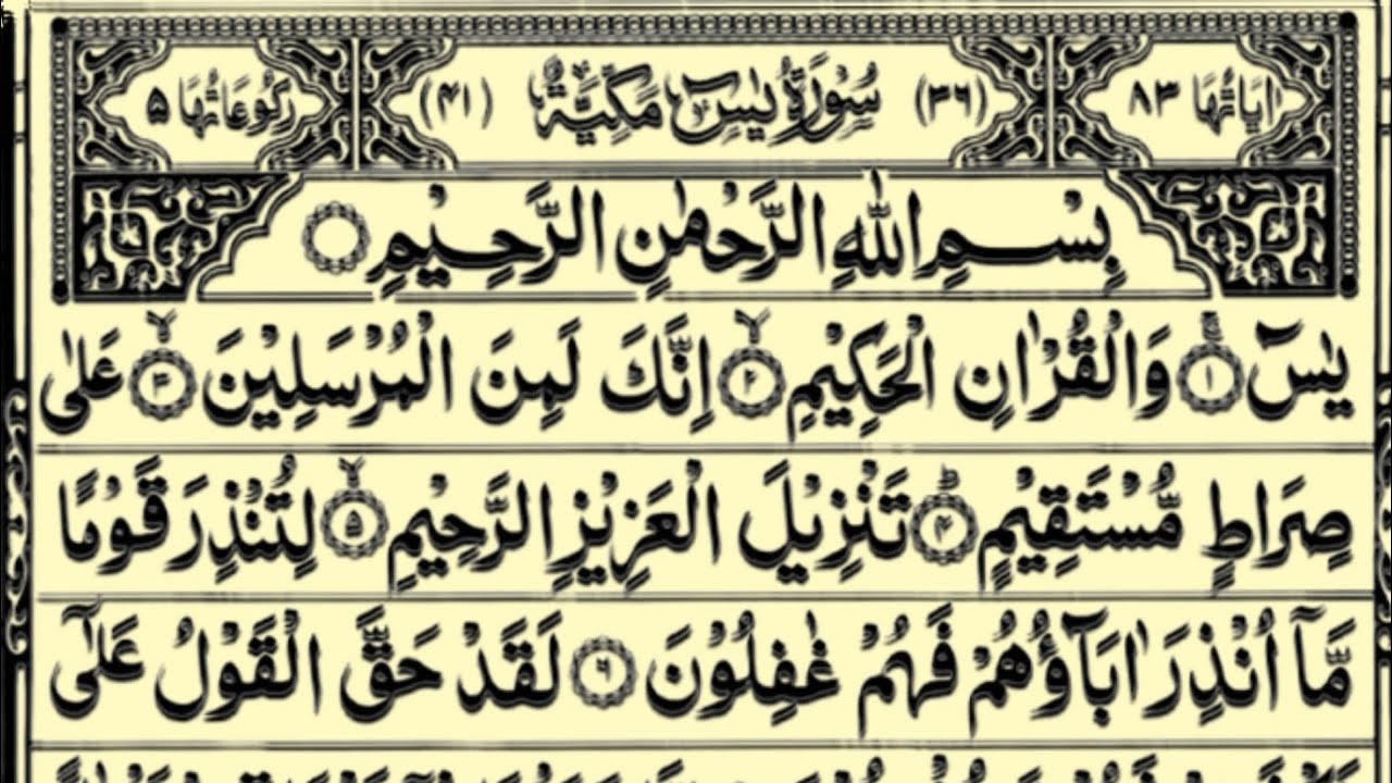 SURAH YASEEN (Yaseen) Surah Yaseen Ki Tilawa |🌹❤🌺🕌✨ | SURAH RAHMAN | Epi 274 | Yaseen Tilawat