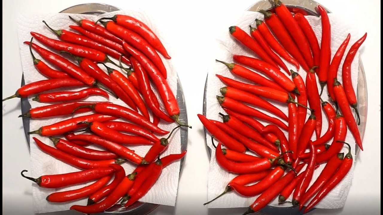 HOW TO DRY CHILI  PEPPERS AND MAKE CHILI POWDER ?  (BY CRAZY HACKER)