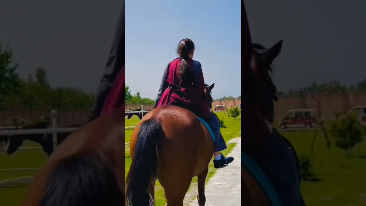 TOP SCHOOL OF PAKISTAN