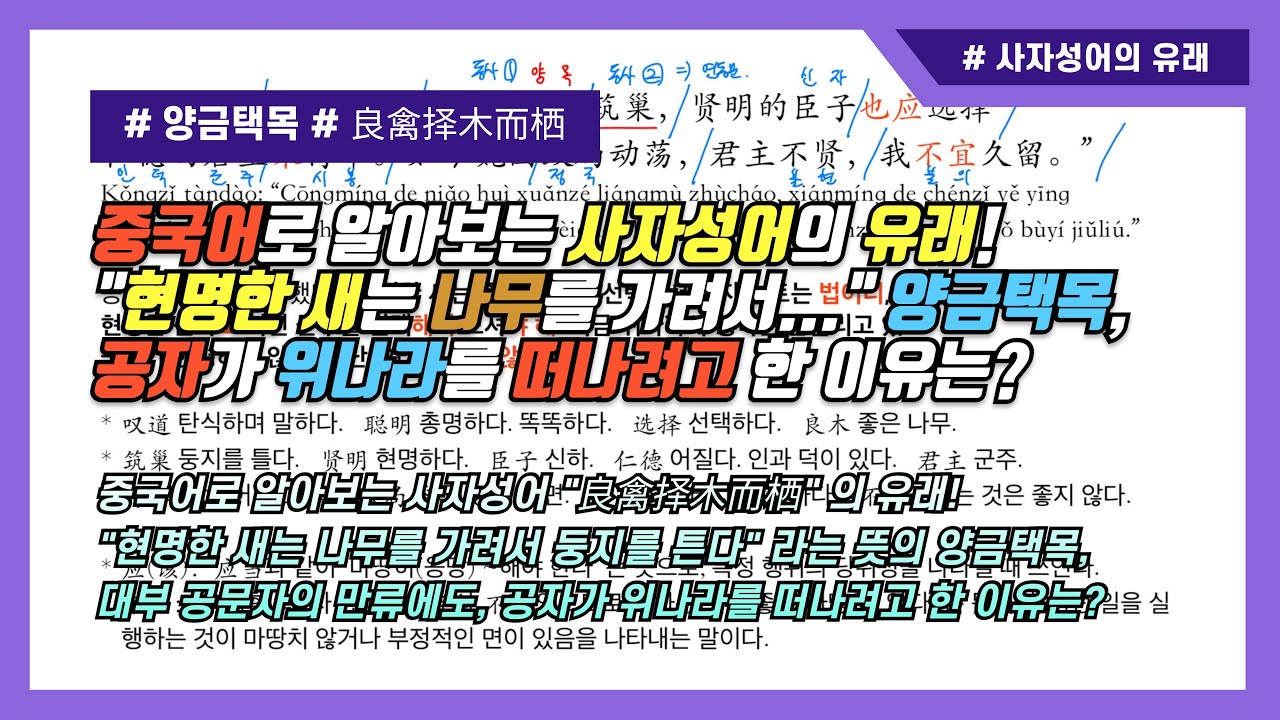 “현명한 새는 나무를 가려 둥지를 튼다” 양금택목! 대부 공문자의 만류에도 공자가 위나라를 떠나려 한 이유는? [“良禽择木而栖” 的由来！即使大夫孔文子挽留，孔子为何要急忙离开魏国呢？]