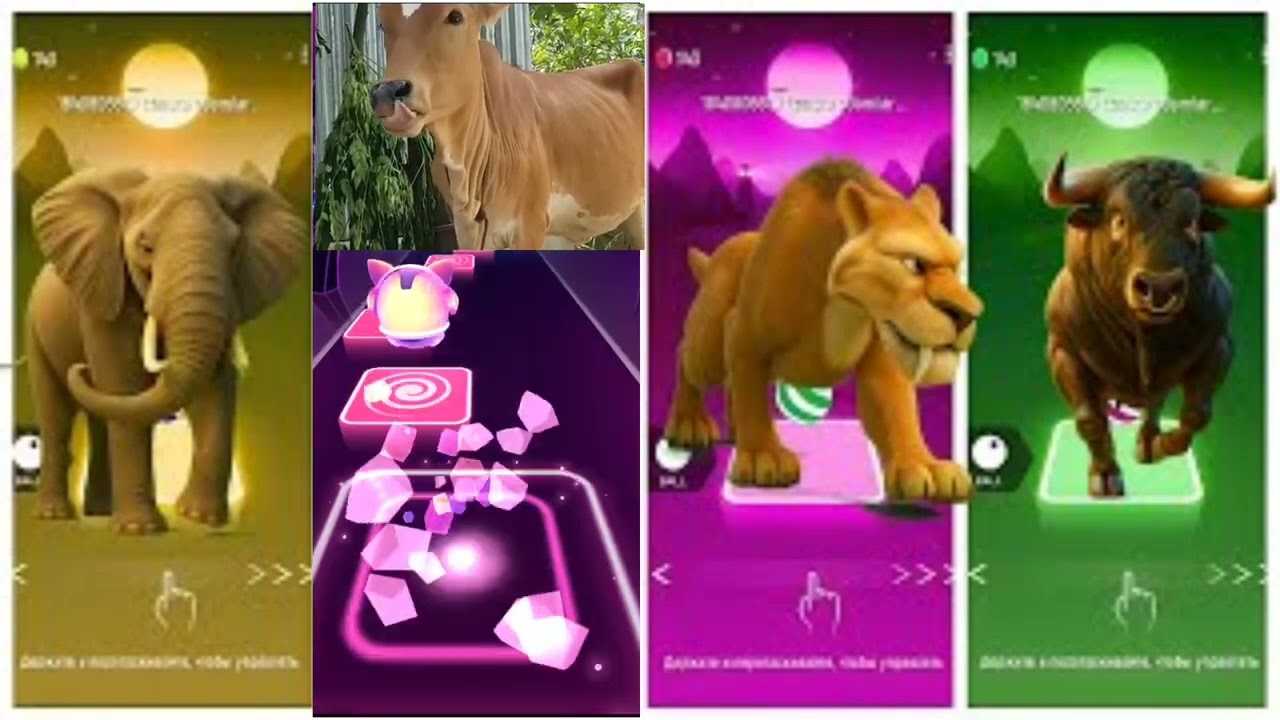 Funny Animals - Cow 🆚 Tiger 🆚 Elephant 🆚 Lion 🎵 Tiles Hop #part25