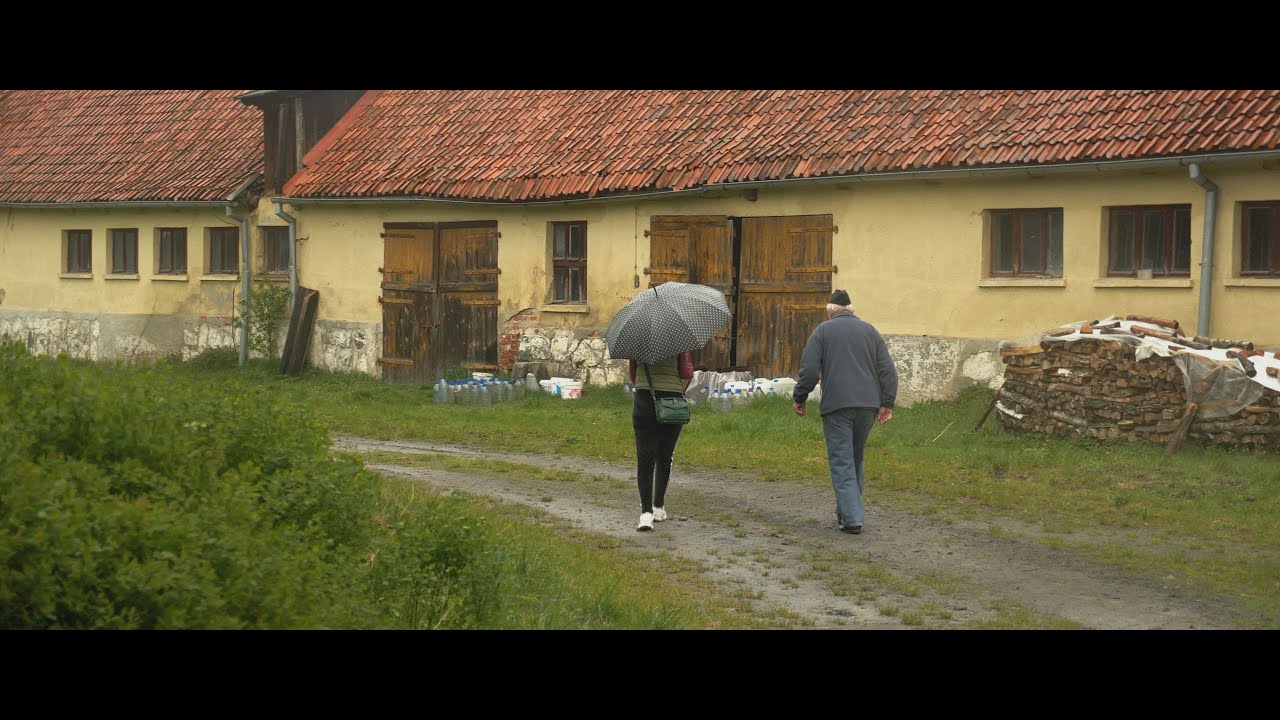 Ocalić od zapomnienia Stadninę Koni w Szafrankach