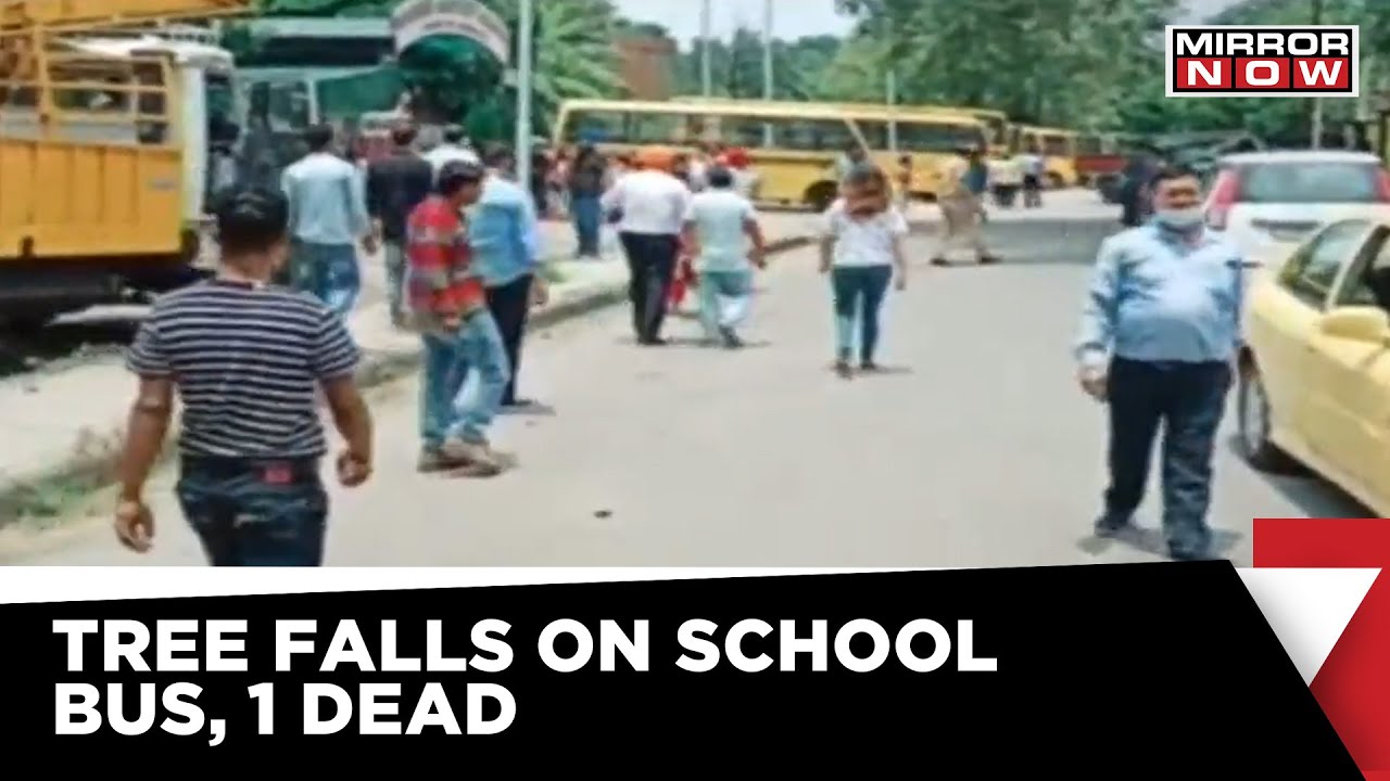 1 Child Dead, 18 Injured After Tree Falls On A School Buses In Chandigarh | Ground-Report