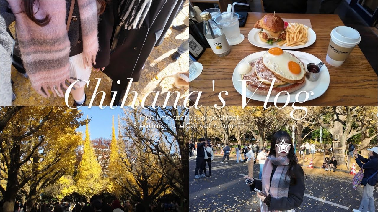 ［vlog］今年で3回目の銀杏並木🍂💛|明治神宮外苑いちょう並木|表参道ランチ|パンケーキ