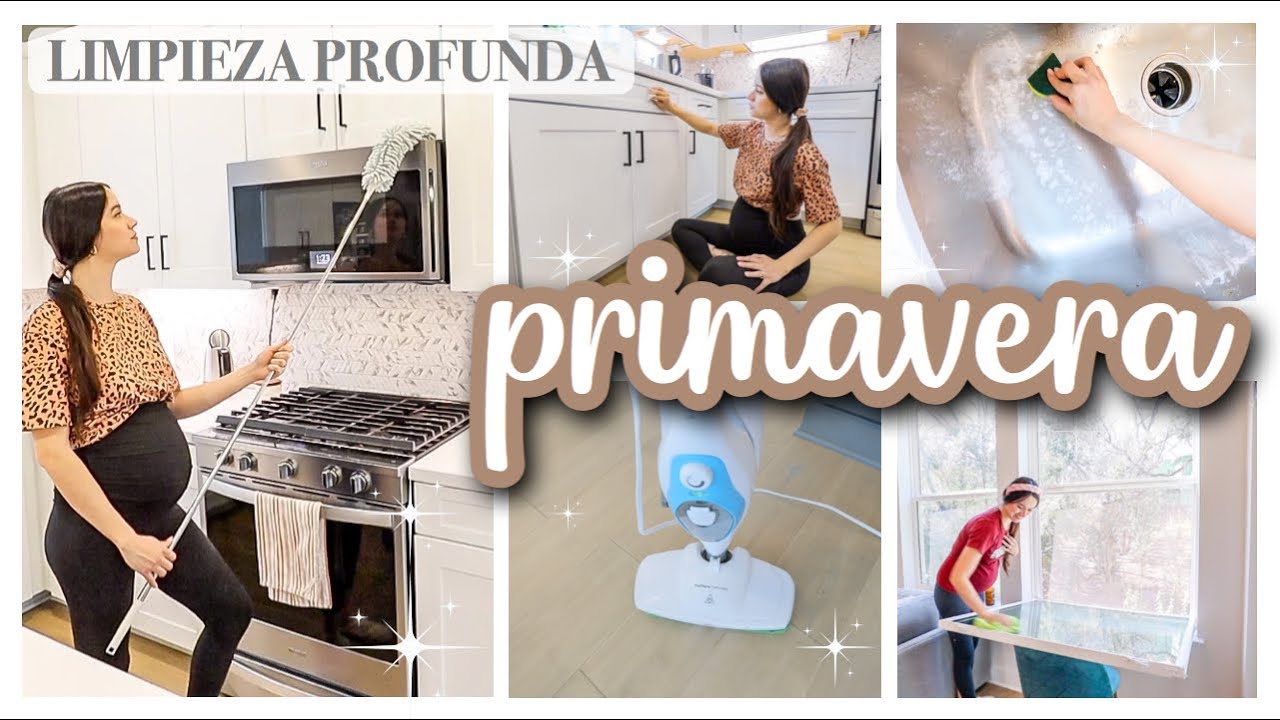 LIMPIEZA PROFUNDA DE PRIMAVERA: desinfección, organización, mantenimiento | ALEJANDRA C MALDONADO
