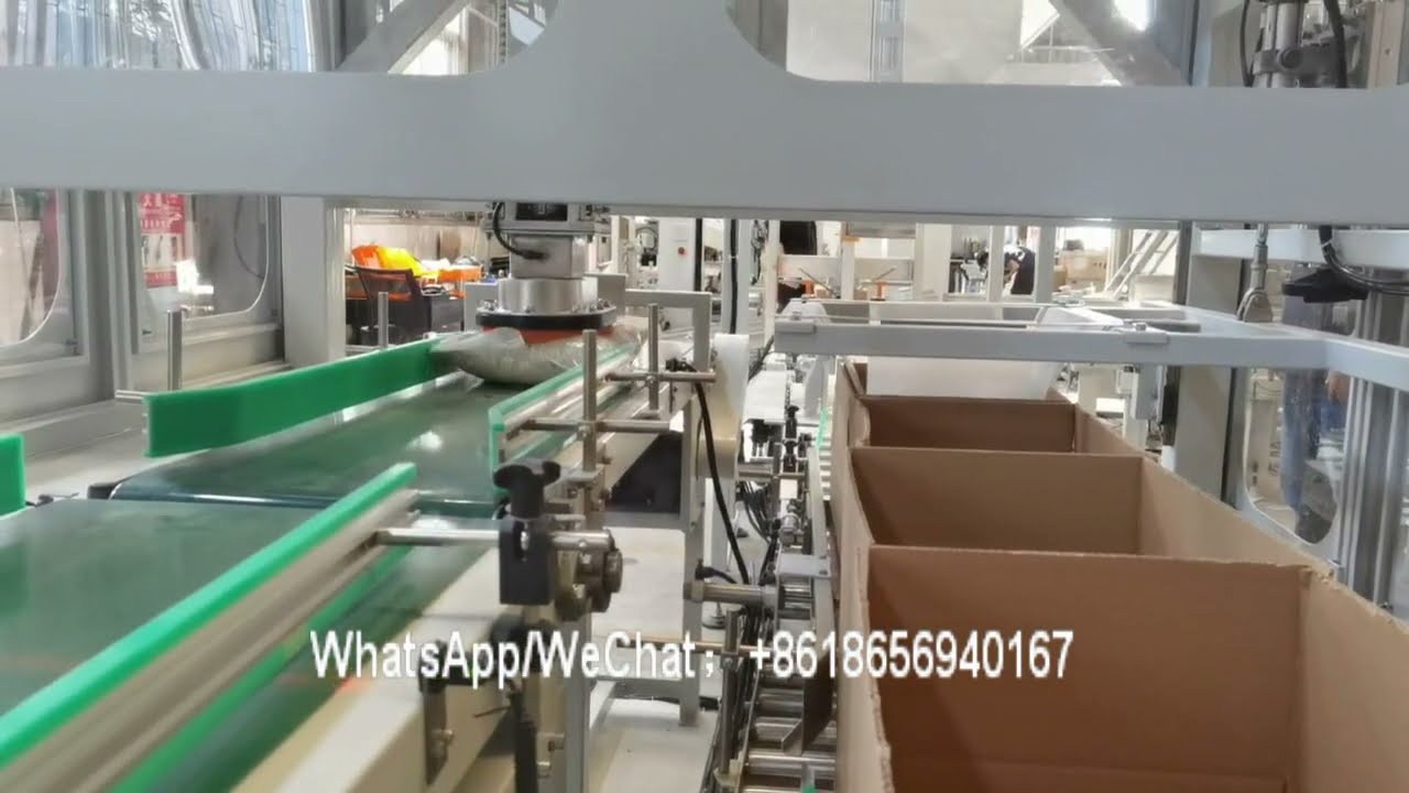 Chantecpack Concentrated Powdered Car Wash/Detergent VFFS bagger packing machine robotic case packer
