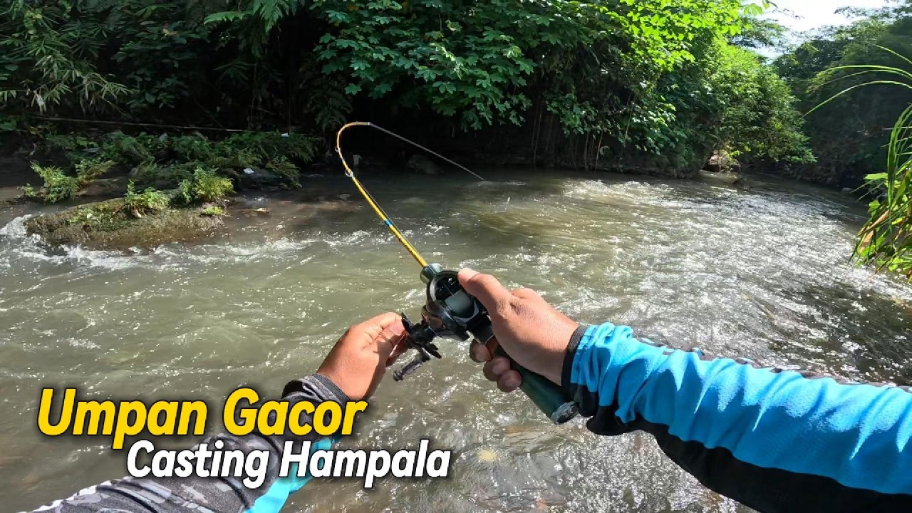 Rahasia Umpan Gacor untuk Casting Hampala | Sekali Lempar Langsung Strike!