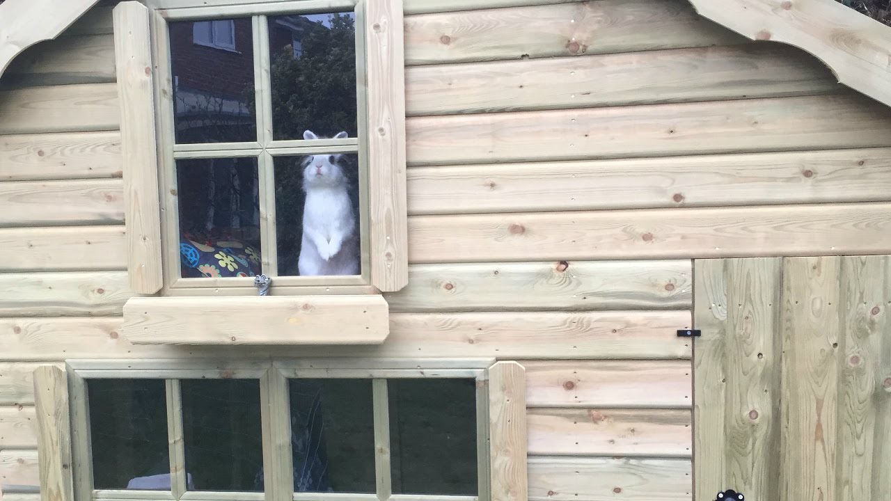 Bunny House Tour