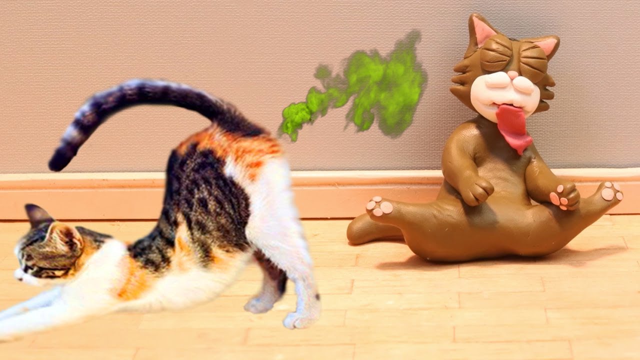 Ginger vs Other Cats 😹 Compilation of funny videos with CATS and DOGS for a good mood!   Funny Ging