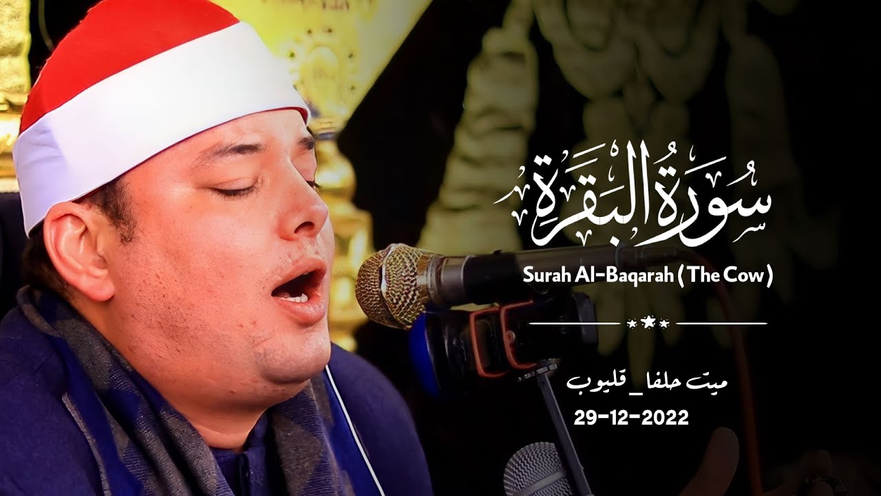 الشيخ محمود القزاز | البقرة مليونية عزاء الحاج سامى عِــيلِي | ميت حلفا _ قليوب 29_12-2022