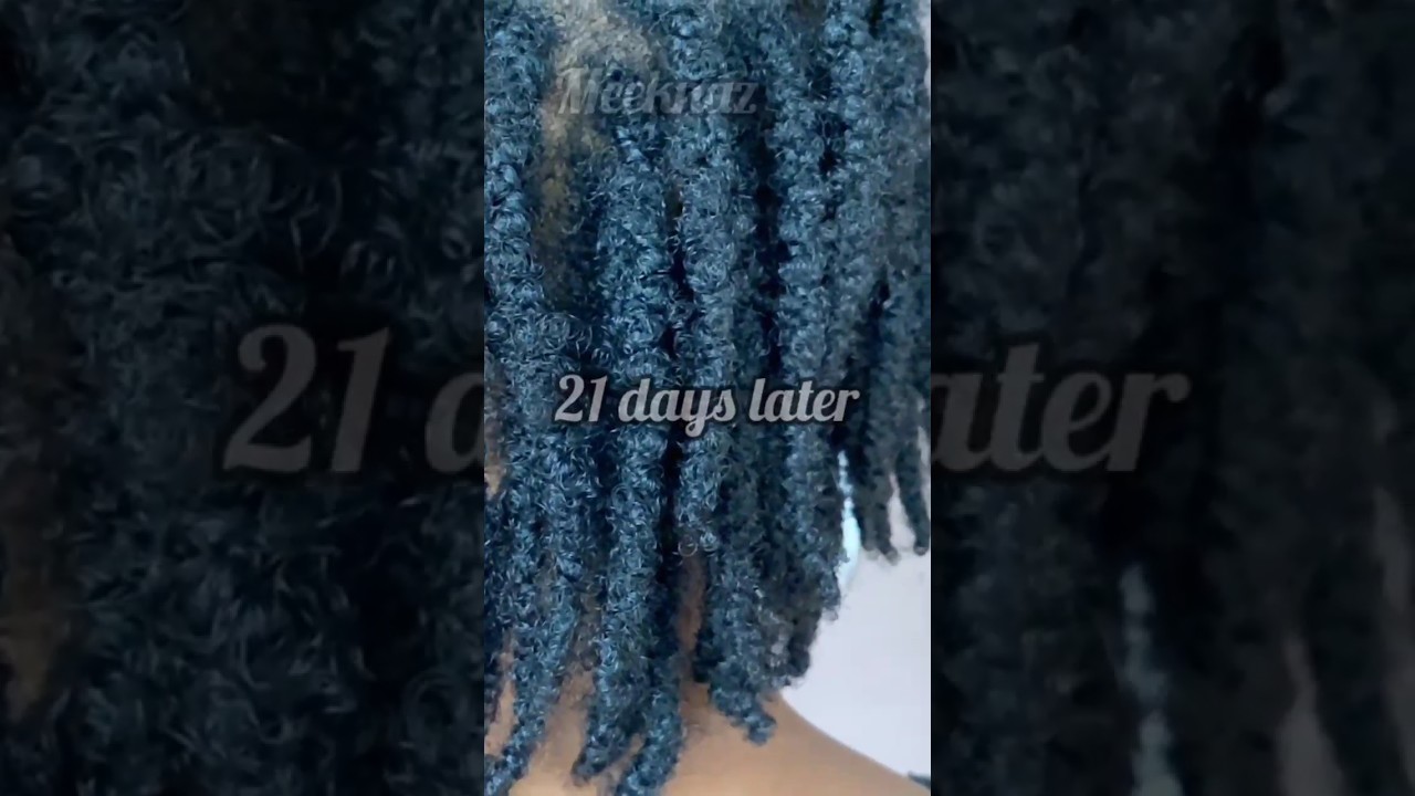 😱You won't believe this is temporary locs #Temporarylocsforbeginners #naturalhair