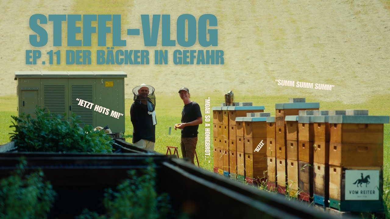 Der Bäcker in Gefahr!🐝🍯︱Steffl-Vlog Ep.11