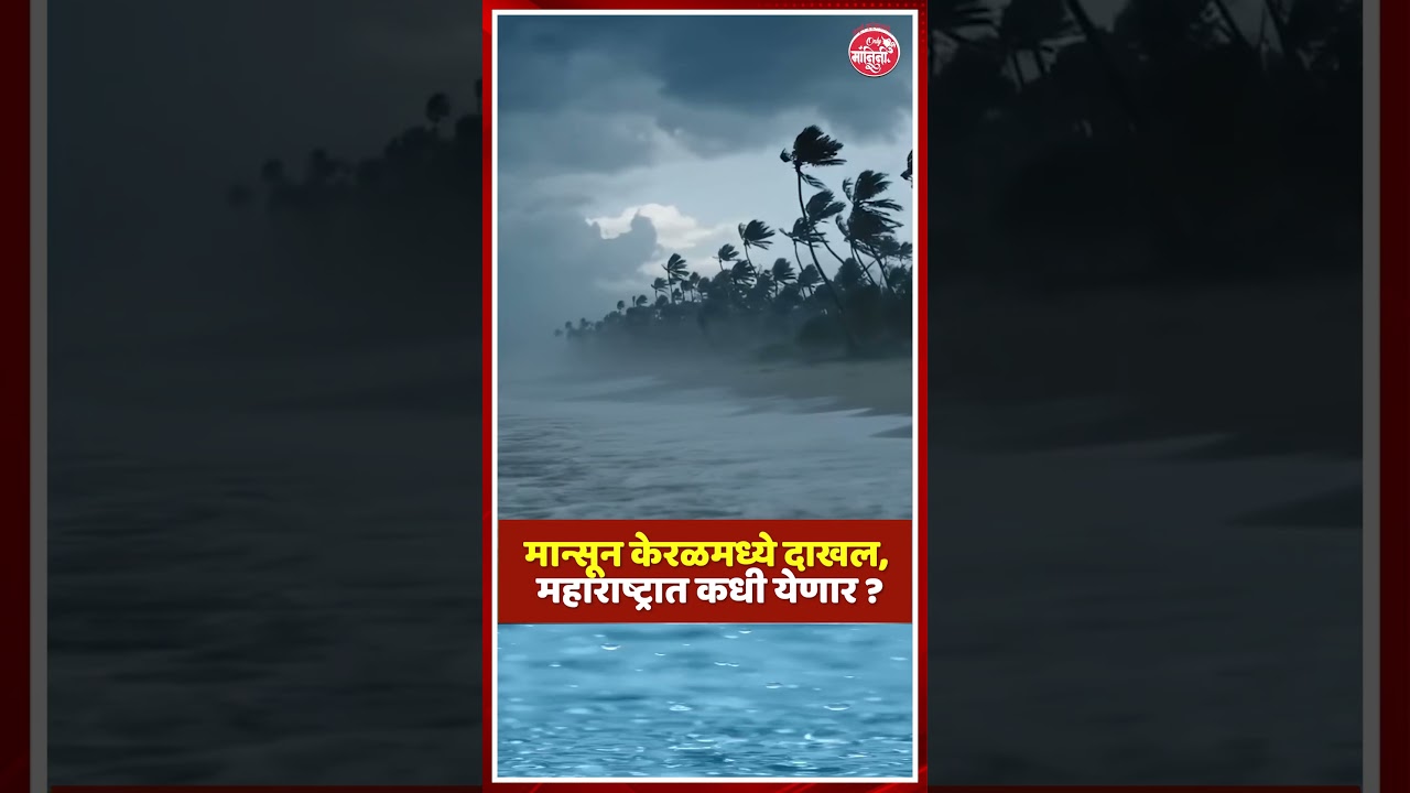 monsoon update | maharashtra weather : महाराष्ट्रात 'या' तारखेपासून पावसाचा जोर वाढणार