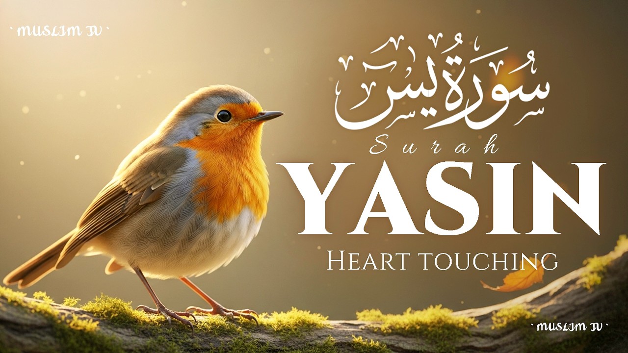 Surah Yaseen سورة يس | Soothing Recitation for Protection, Guidance & Restful Sleep #yasin