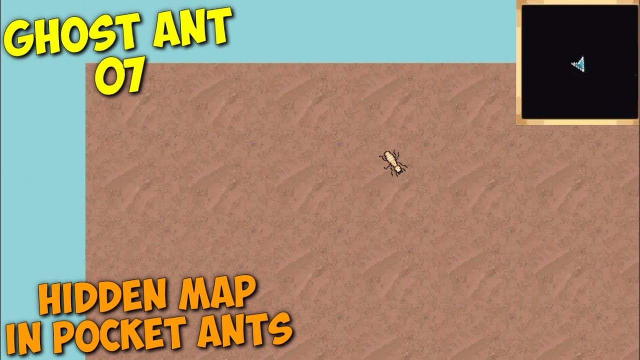 SHOWING THE HIDDEN MAP | POCKET ANTS