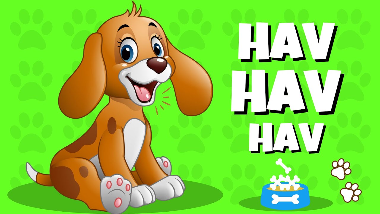 Köpeğim Hav Hav Der | Hayvanları Öğreniyorum | Köpeğim Benden Ne İster | Çocuk Şarkıları