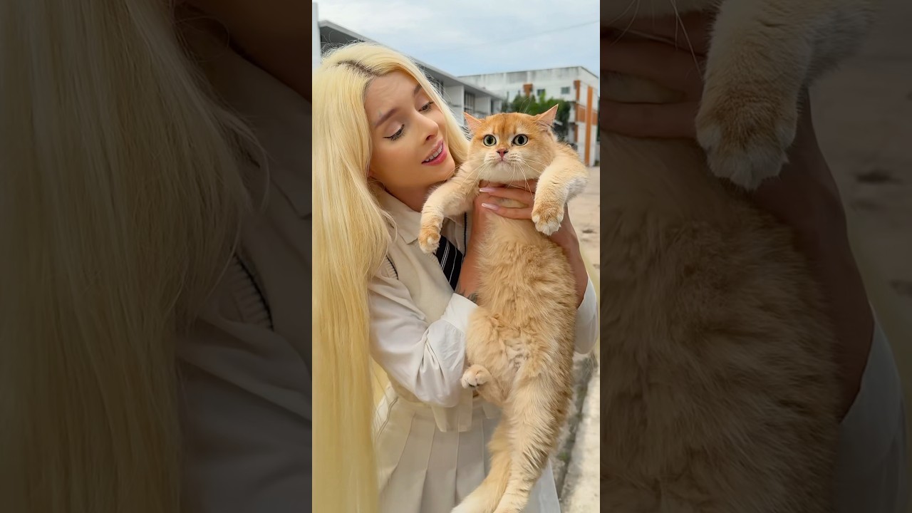 She took in a stray cat🥹 #cat #cats