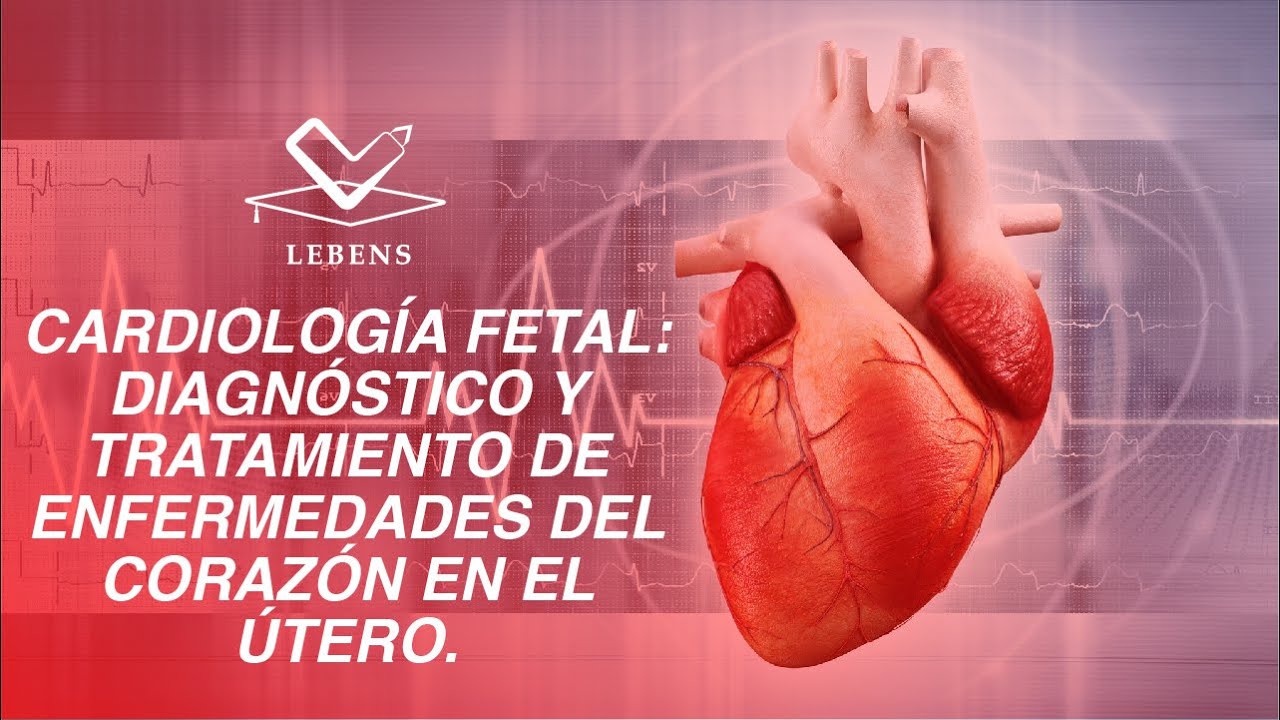 CARDIOLOGÍA FETAL: DIAGNÓSTICO Y TRATAMIENTO DE ENFERMEDADES DEL CORAZÓN EN EL ÚTERO.