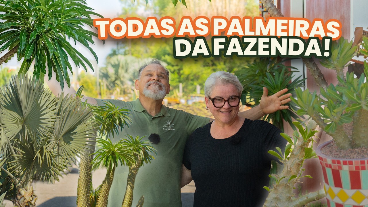 Todas as Palmeiras que temos na Fazenda!