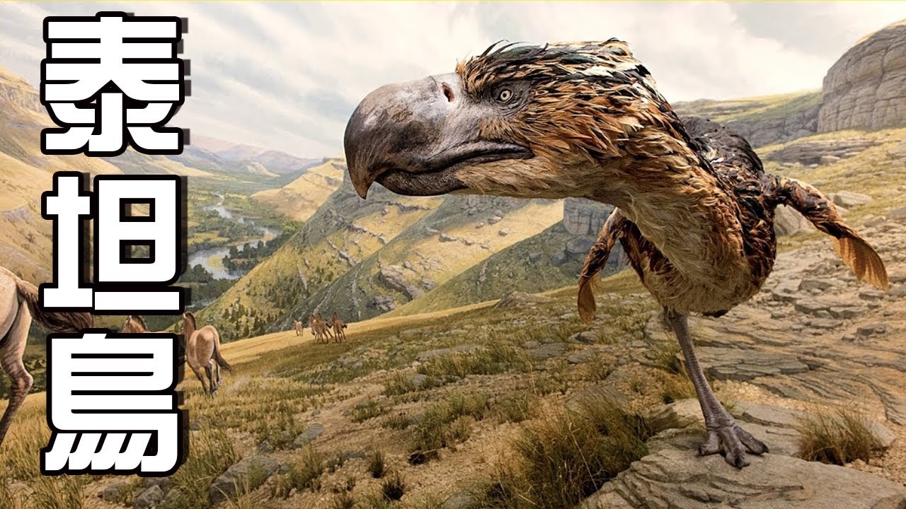 冰川時代的龍獸爭霸：駭鳥家族血戰到底的絕唱！丨南美篇丨冰河世紀