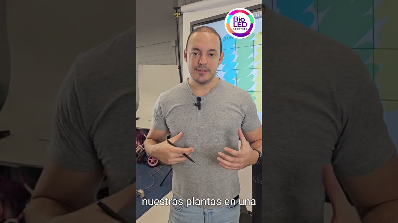 Autocultivo PERFECTO - Parametros para clones, semillas o esquejes