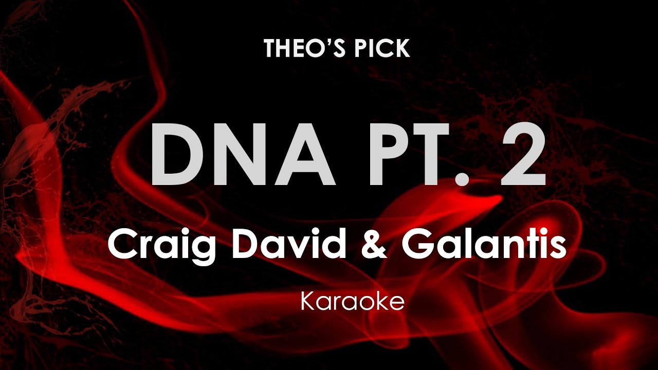 DNA Pt  2 | Craig David & Galantis karaoke