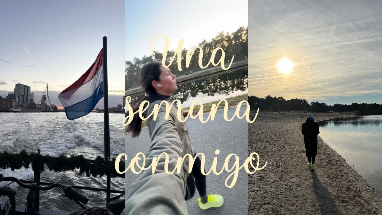 Navidades en HOLANDA 🇳🇱🧇, COMPRAS, Regalos 🎁🛍️ y mi SUPERMERCADO holandés favorito 🛒 | Eira's Diary
