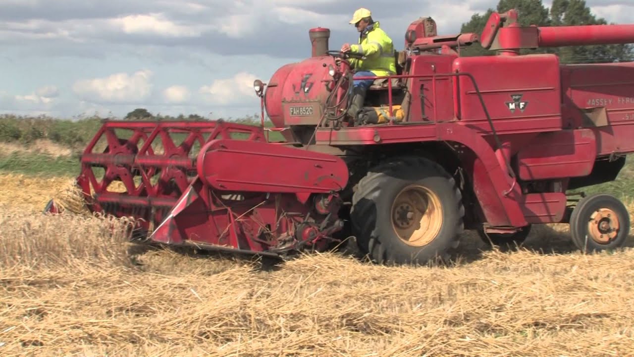 1965 MF 500 combine harvester 18/09/2012.