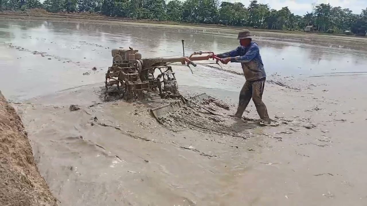 Momen Traktor Sawah Garu Lahan Menggunakan Taktor Quick G1000 Boxer
