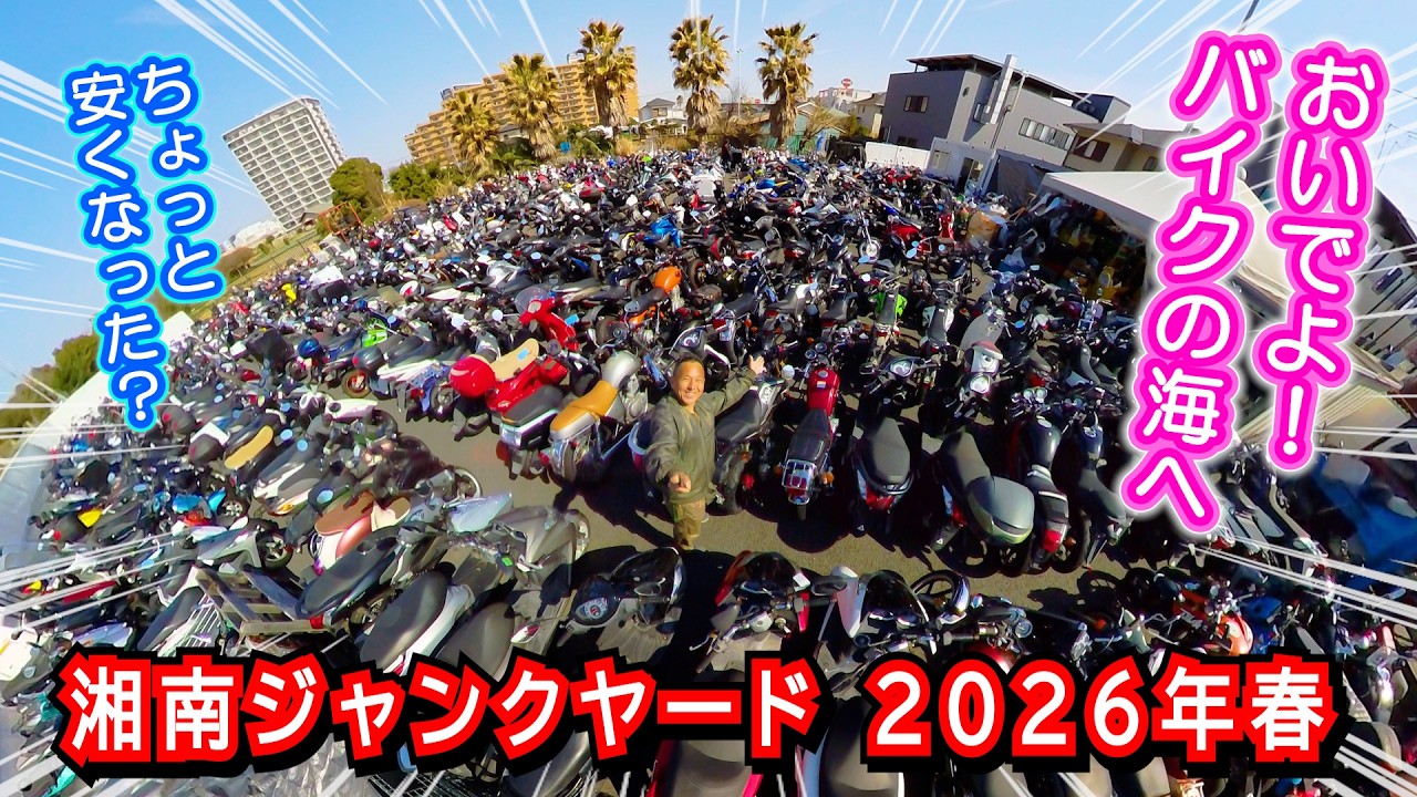 中古バイク 安くなった？ 湘南ジャンクヤード散歩 2026年 春休み直前リポート