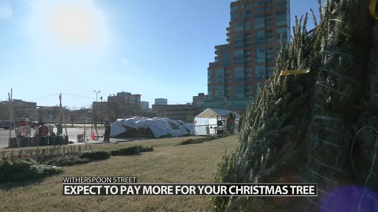 Christmas Tree Lane in downtown Louisville reopens for holiday rush