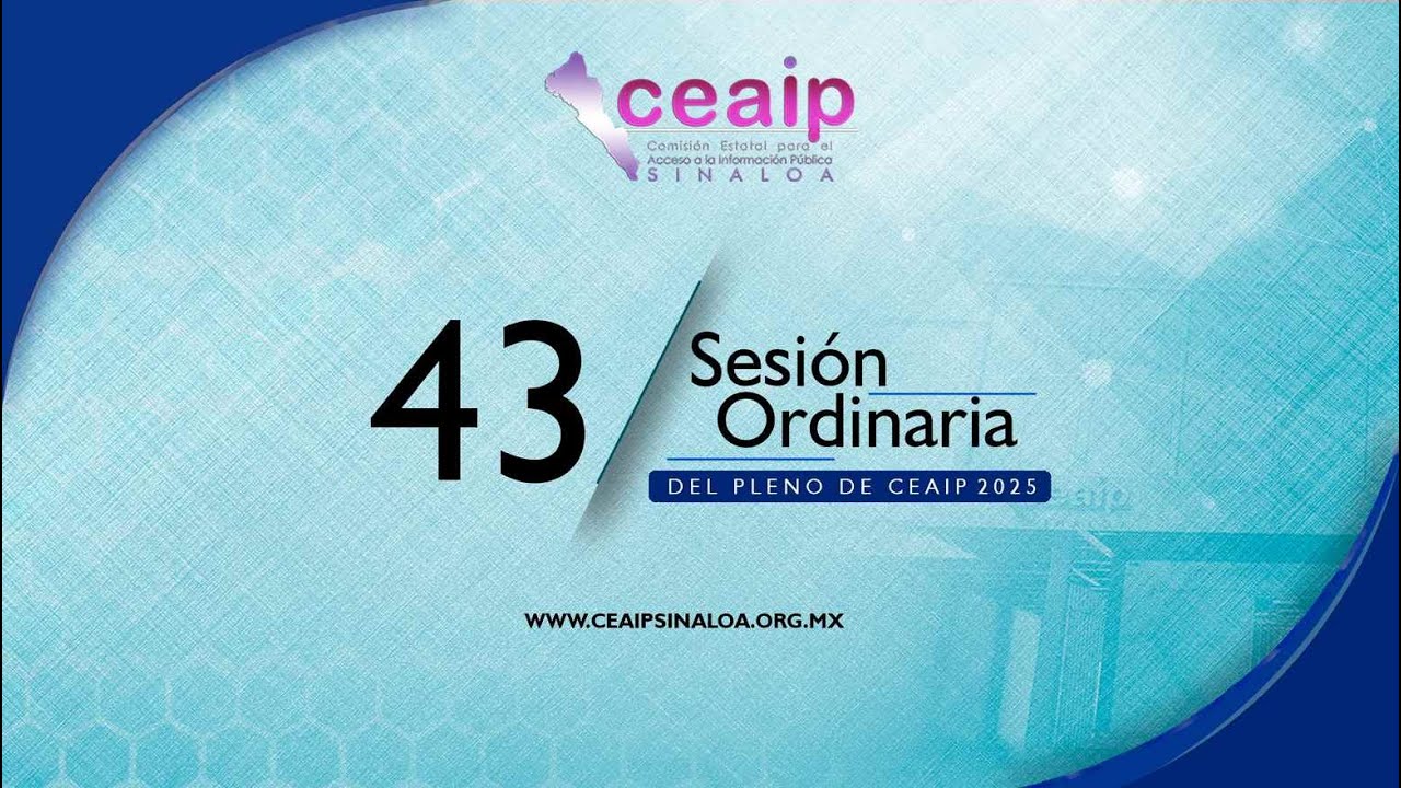 Sesión Ordinaria del pleno 43/2025
