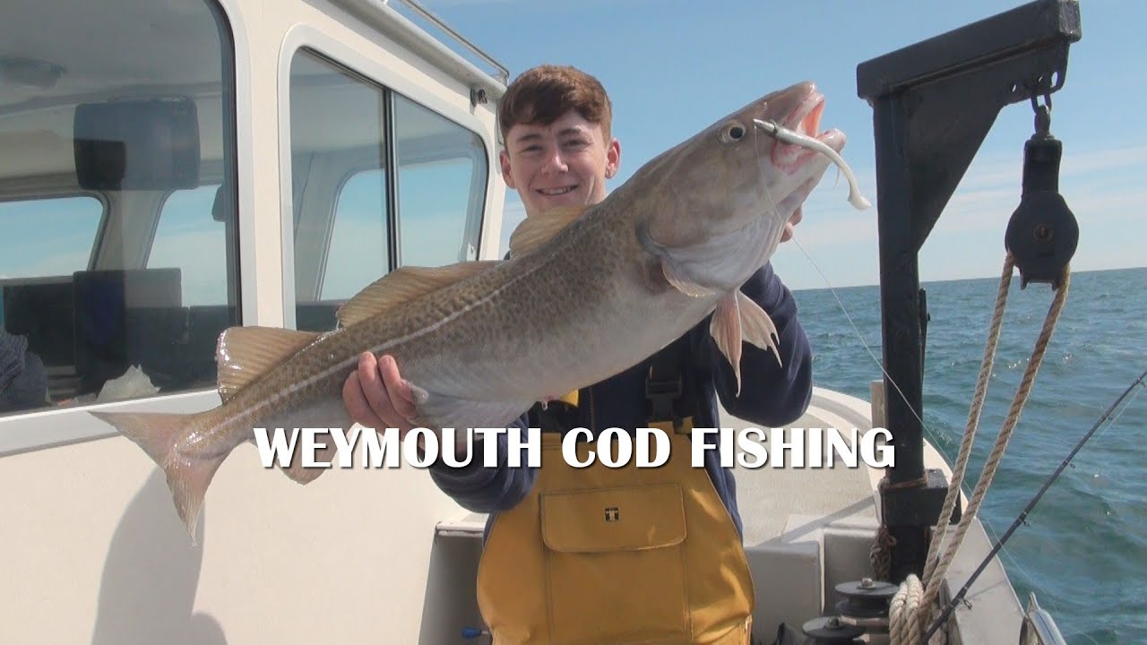 Peace & Plenty Weymouth charter boat lure testing wreck fishing for Cod