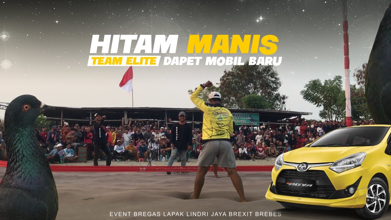 BEST PERFORM HITAM MANIS TEAM ELITE EVENT BREGAS LAPAK LINDRI JAYA BREXIT BREBES