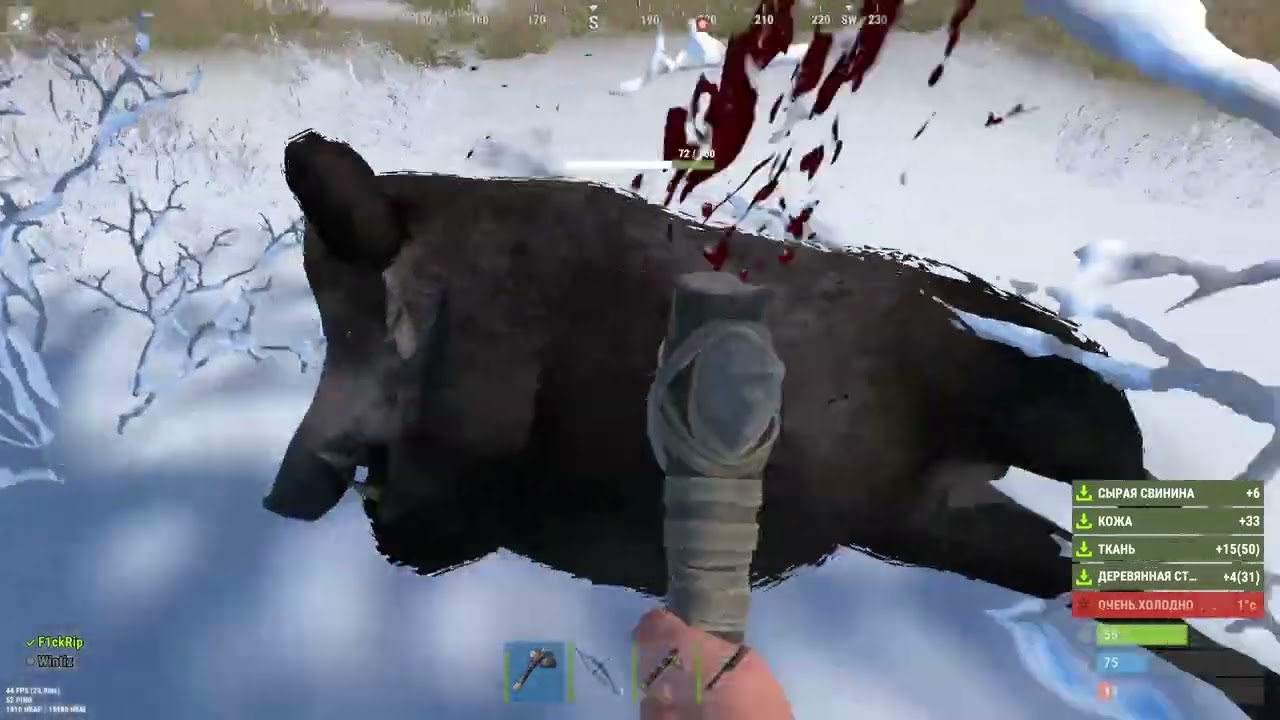Путь новичка в RUST