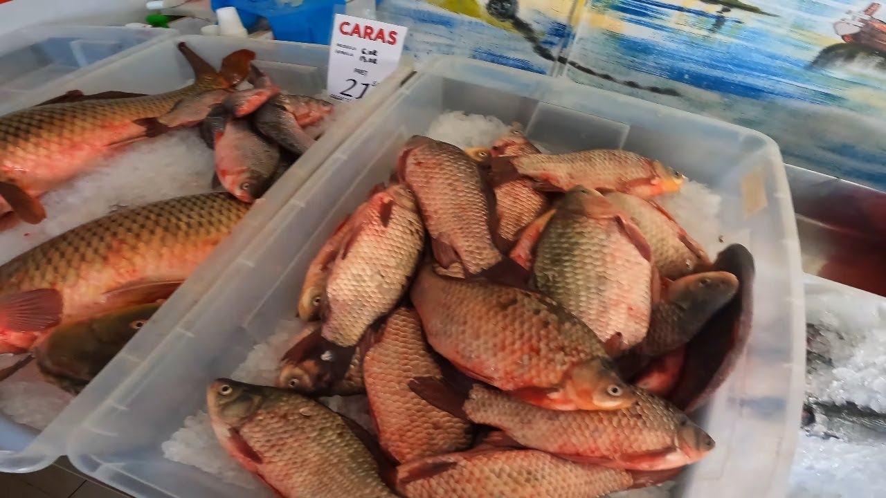 Piața de pește din Năvodari și drumul spre casă
