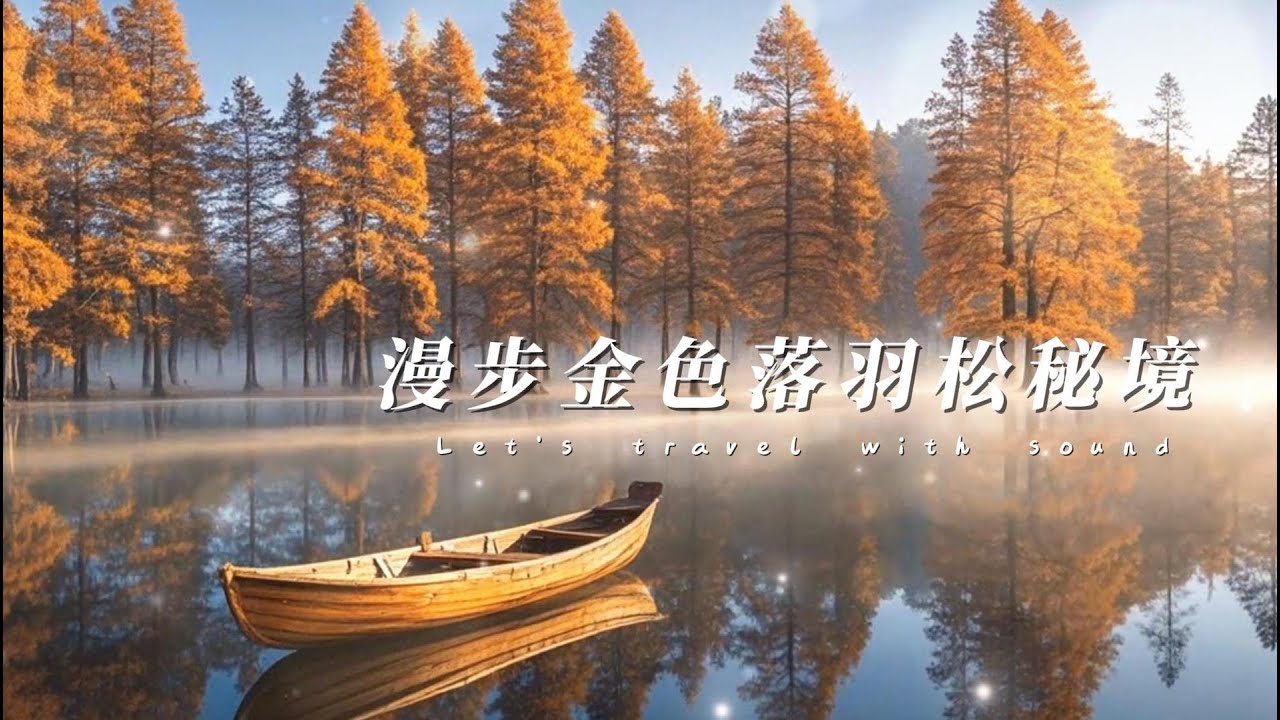 漫步金色落羽松秘境｜療癒系鋼琴伴隨微風聲｜尋找歲月裡最溫柔的色彩