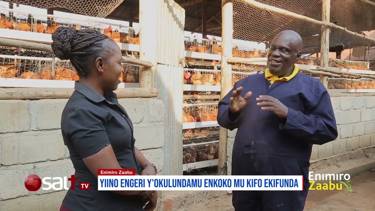 YIINO ENGERI Y'OKULUNDAMU ENKOKO MU KIFO EKIFUNDA