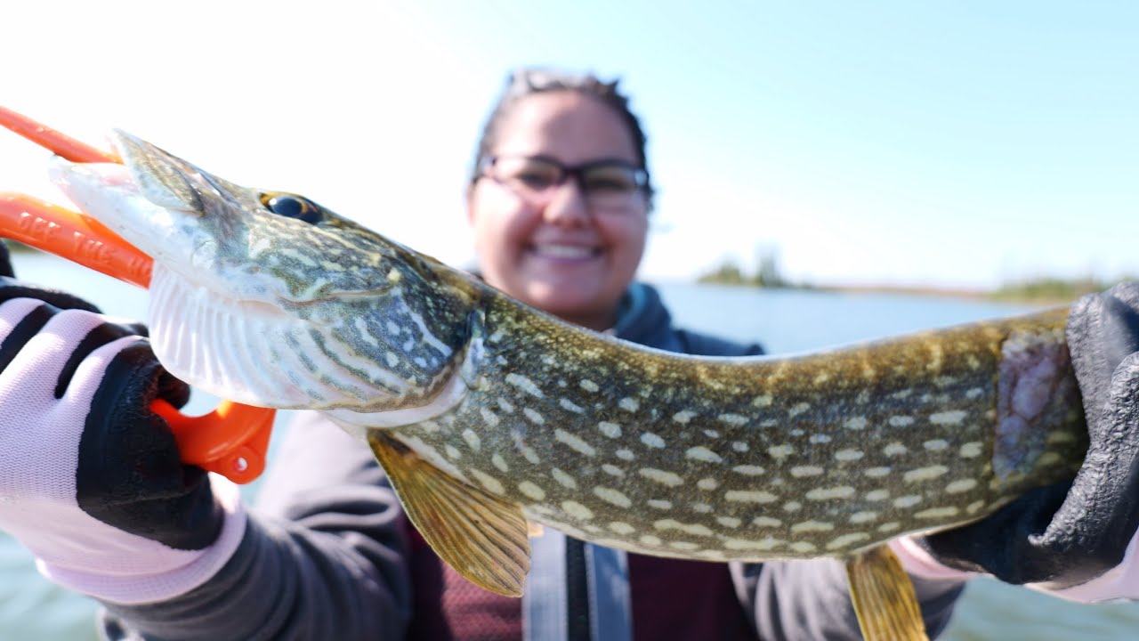 Fishing a pike infested shallow bay with my wife 